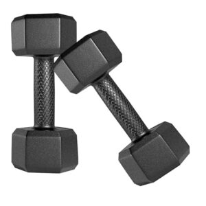Amazon Brand - Symactive Pvc 2 Kg Fixed Dumbbells Set For Full Body Workout (Set Of 2, 1 Kg) | Black