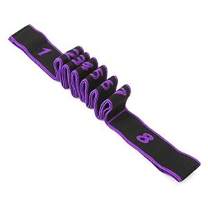 IRIS Polyester Fabric 8 Loops Heavy Elastic Resistance Exercise Loop Band for Ballet Dance Yoga Pilates Gymnastics Pullup Assist/Muscle Toning/Stretching/Physical Therapy and More - 90x4Cm