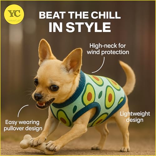 Yellowcult Cute Cat T-Shirt Clothes, Summer Sweetshirts Fruit Pet Random Design mesh Outfit for Small Dog, cat, Puppy, Kitten, Diwali, Festival, Travel, Outing, Photos (XS- Any 1) - Image 6