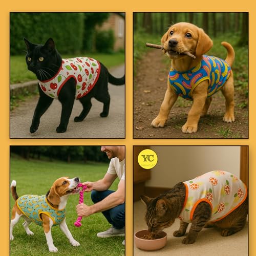 Yellowcult Cute Cat T-Shirt Clothes, Summer Sweetshirts Fruit Pet Random Design mesh Outfit for Small Dog, cat, Puppy, Kitten, Diwali, Festival, Travel, Outing, Photos (XS- Any 1) - Image 2